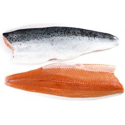 FILETE SALMON