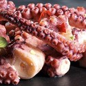 Pulpo